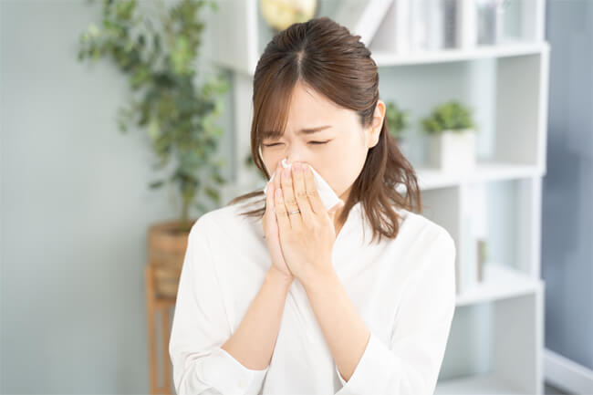 通年性鼻炎